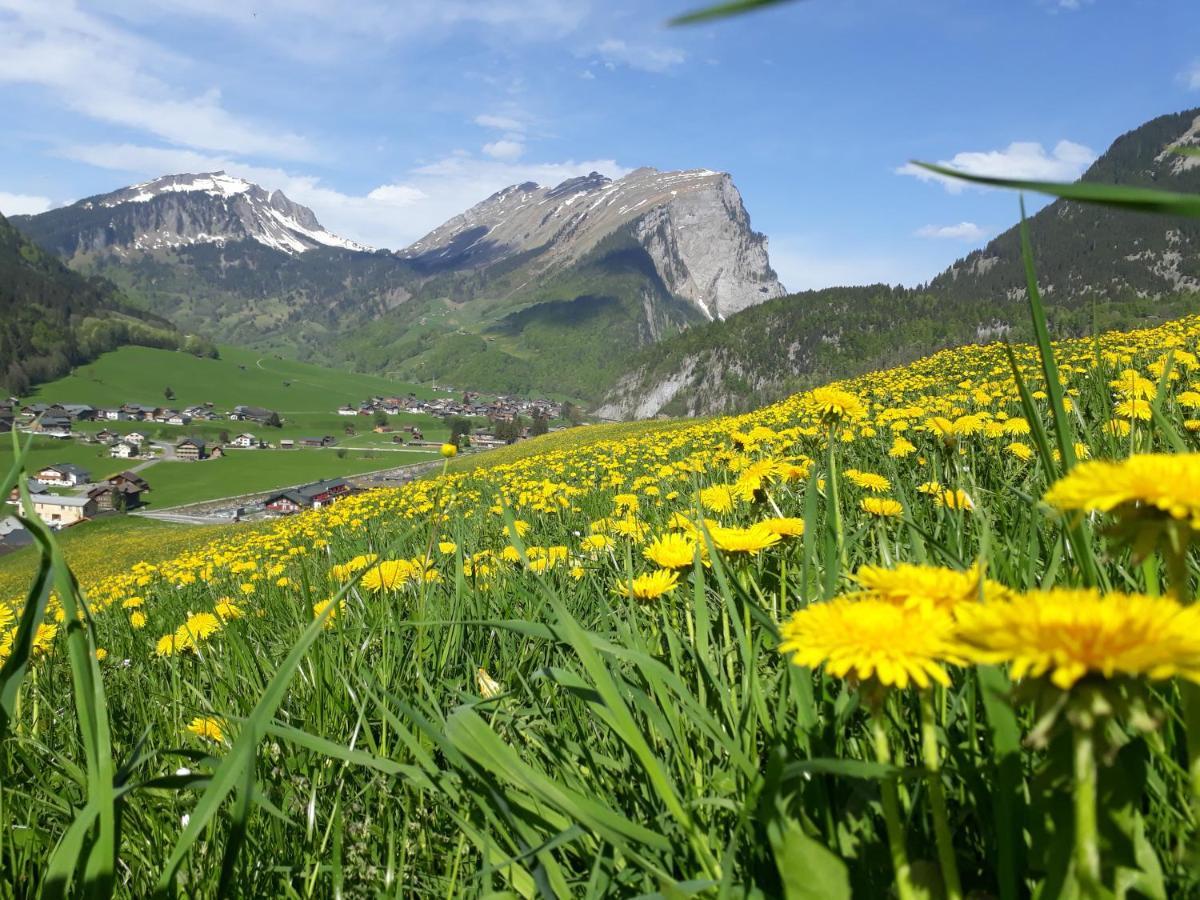 Fernblick Fruehstueckspension Schoppernau Buitenkant foto