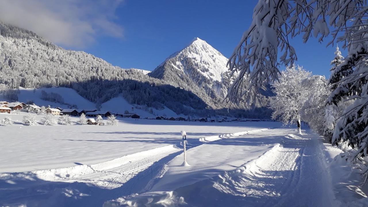 Fernblick Fruehstueckspension Schoppernau Buitenkant foto