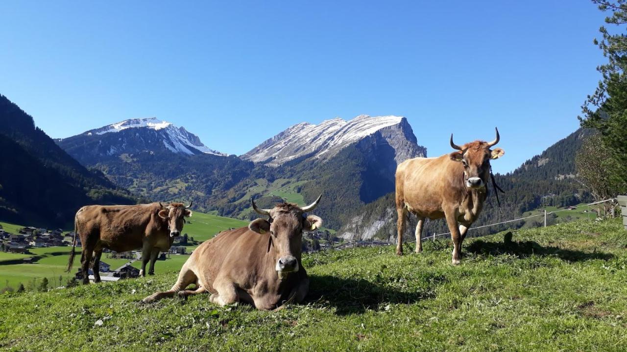 Fernblick Fruehstueckspension Schoppernau Buitenkant foto