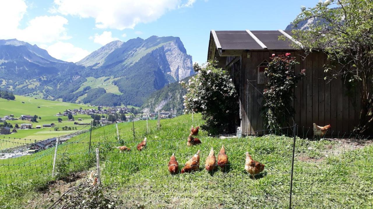 Fernblick Fruehstueckspension Schoppernau Buitenkant foto