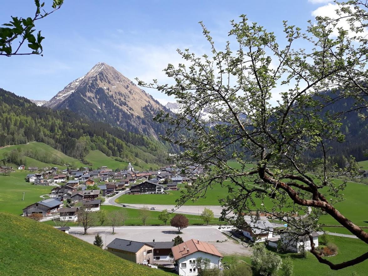 Fernblick Fruehstueckspension Schoppernau Buitenkant foto