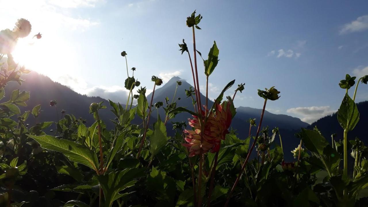 Fernblick Fruehstueckspension Schoppernau Buitenkant foto