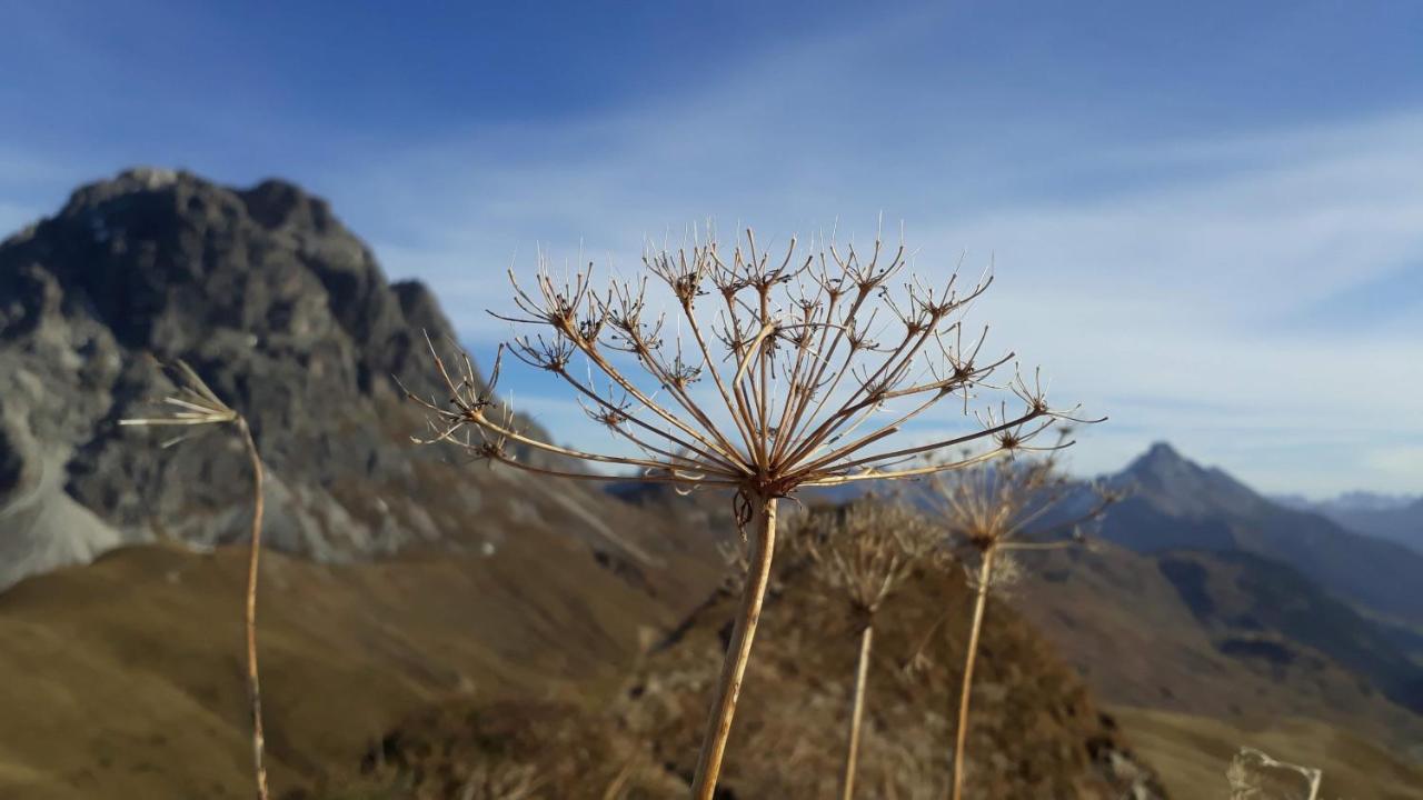 Fernblick Fruehstueckspension Schoppernau Buitenkant foto