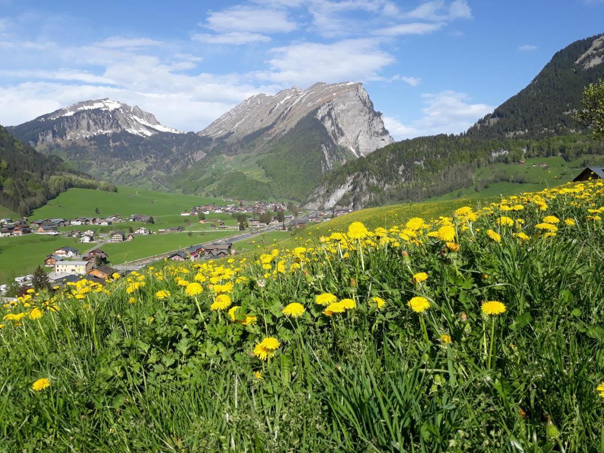 Fernblick Fruehstueckspension Schoppernau Buitenkant foto